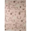 Pink Paris Cavallini Papers Decorative Wrap 20 by 28 inches
