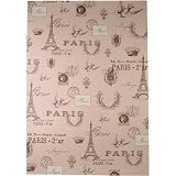 Pink Paris Cavallini Papers Decorative Wrap 20 by 28 inches