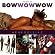 Aphrodisiac: The Best of Bow Wow Wow