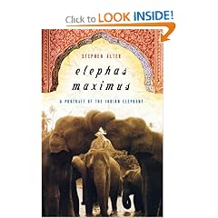 Elephas Maximus: A Portrait of the Indian Elephant