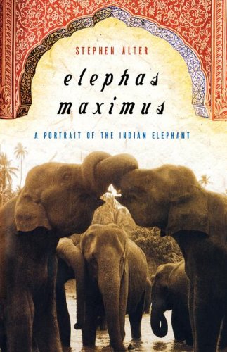 Elephants