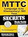 MTTC Language Arts (Elementary) (90) Test Secrets Study Guide: MTTC Exam Review for the Michigan Test for Teacher Certification