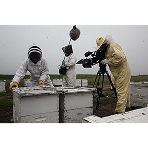 Des abeilles et des hommes