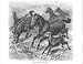 Lydekker Royal Natural History THE TARPAN Antique print HORSES 1893
