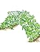 Gardener's Supply Company Deluxe Cucumber Trellis (Green) | Powder Coated Steel Vegetable Support - 32” W x 46” H