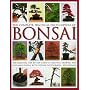 The Complete Practical Encyclopedia of Bonsai: The essential step-by-step guide to creating, growing, and displaying bonsai with over 800 photographs
