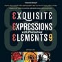 Ex3: Exquisite Expressions with Photoshop Elements 9
