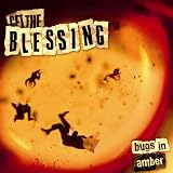 Bugs In Amberby Get the Blessing