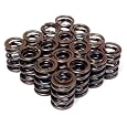 Blox Racing Honda D-series SOHC VTEC Valve Spring Set (D16Z6/D16Y8)