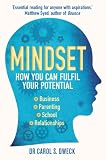 Mindset: How You Can Fulfil Your Potential