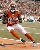 Chad Johnson Ochocinco Bengals Touchdown 8x10 Photo