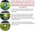 The Mega Marketing, Success Principles and Inner Game for Stair Steppers Web Biz 3 CD Course