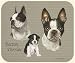 David Kiphuth Dog Breeds Boston Terrier Mousepad Mouse Pad