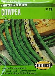 Blackeyed Peas Seeds 90 Seeds