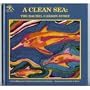 A Clean Sea: The Rachel Carson Story : A Biography for Young Children