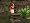 The Sims: Castaway Stories (PC DVD)