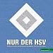Nur der HSV: Die Raute im Blick des Hamburger Abendblatts: Titel, Tore, Emotionen