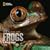 Face to Face with Frogs (Face to Face with Animals)