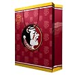 Florida State Seminoles NCAA Large Gift Bag (15.5 Tall) by Pro Specialties Group