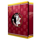 Florida State University Team Logo Gift Bag (Large) by Pro Specialties