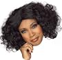 Talk Show Oprah Winfrey Wig
