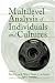 Multilevel Analysis of Individuals and Cultures