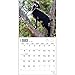 Goats in Trees 2015 Wall Calendar
