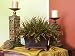 Reddish/Green Grasses with Button Fern GR156-30