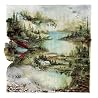 Bild des Albums von Bon Iver