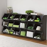 Multi-Bin Organizer