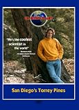 san diego's torrey pines