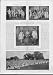 GAIETIES & NATIVE POLITICS INDIA Antique Print 1905