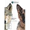 Ultimate Guide - Alles �ber Hunde - Discovery World