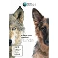 Ultimate Guide - Alles �ber Hunde - Discovery World