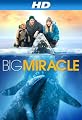 play video on Amazon Instant Video