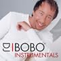Blood On Fire (Instrumental)