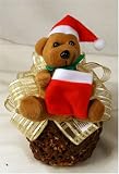 erin's sugarfree santa bear apple