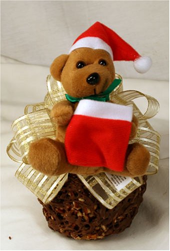 erin's santa bear apple