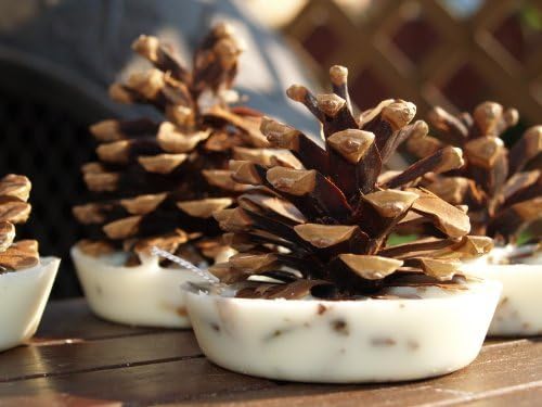 Natural Pine Cone Firelighters - Summer Garden - Box of 12