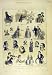 1883 Musical Recollection St James'S Hall Theatre Music
