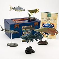 立体図鑑リアルフィギュアボックス　フォッシルフィッシュ （古代魚）