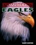 Eagles (Endangered!)