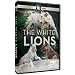 Nature: The White Lions