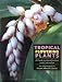 Tropical Flowering Plants: A Guide to Identification and Cultivation