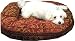 Pet Supplies : Croscill Donut Pet Bed, Red, Small