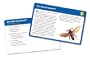 Learning Resources Reading Comprehension Card Set Gr 2+ (LER5500)