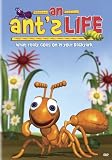 An Ant's Life