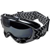 POLARLENS SERIES PG21-01 Lunettes de ski / Lunettes de Soleil / Lunettes de Snowboard / Lunettes de sport avec LENTILLES INTERCHANGEABLES + ANTI-Brouillard + Micro-fibres pochette !