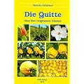 Die Quitte