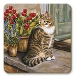 from Mug Coasters Cottage Cat Set of 6 Coasters